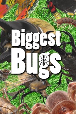 Imagen de Biggest Bugs