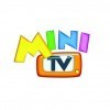 Mini TV Television TDT