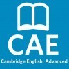 CAE Reading Practice Test